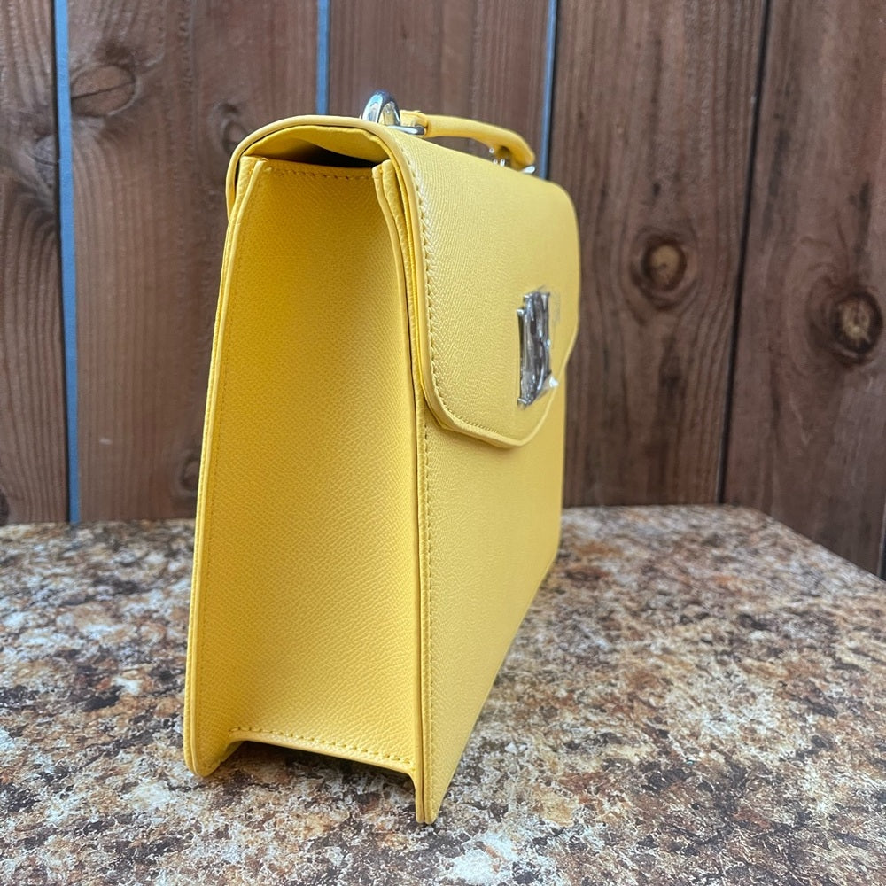 😼NWT Badgley Mischka Crossbody Handbag