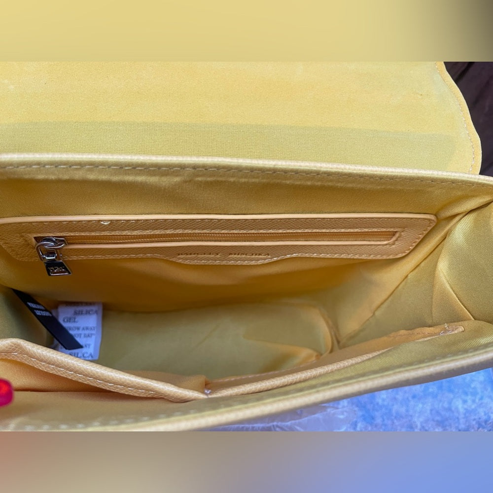 😼NWT Badgley Mischka Crossbody Handbag